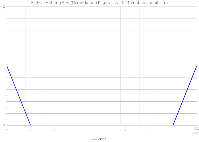 Blijleve Holding B.V. (Netherlands) Page visits 2024 