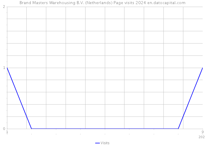Brand Masters Warehousing B.V. (Netherlands) Page visits 2024 