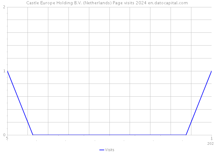 Castle Europe Holding B.V. (Netherlands) Page visits 2024 