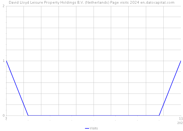 David Lloyd Leisure Property Holdings B.V. (Netherlands) Page visits 2024 