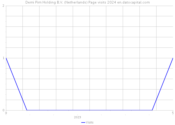 Demi Pim Holding B.V. (Netherlands) Page visits 2024 
