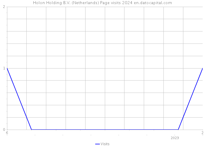 Holon Holding B.V. (Netherlands) Page visits 2024 