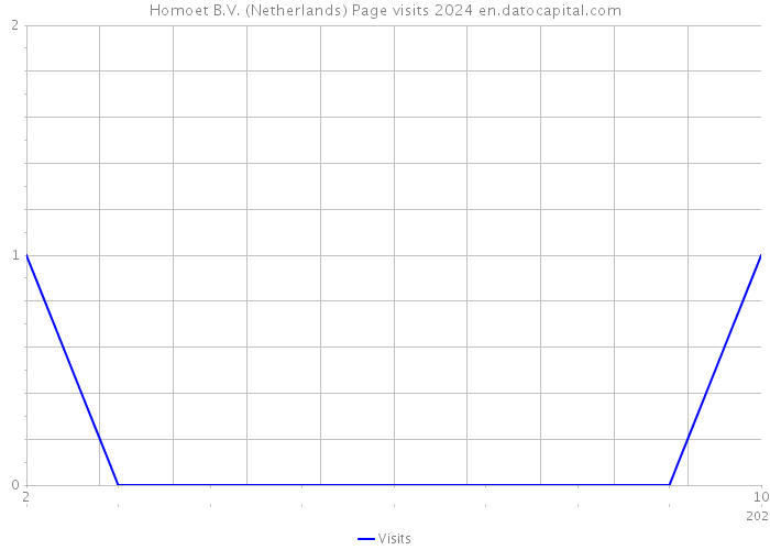 Homoet B.V. (Netherlands) Page visits 2024 