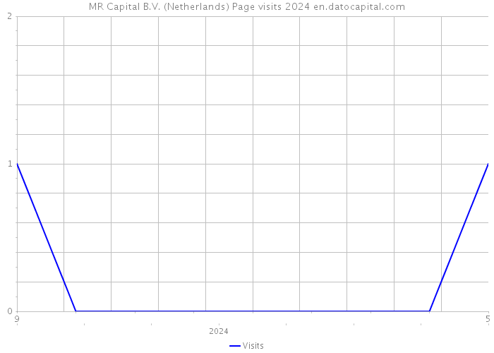 MR Capital B.V. (Netherlands) Page visits 2024 