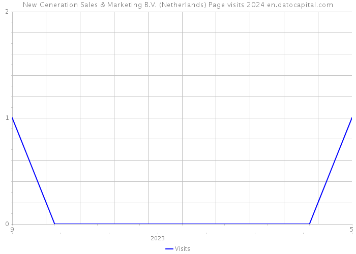 New Generation Sales & Marketing B.V. (Netherlands) Page visits 2024 