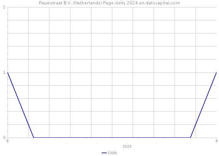 Pauwstraat B.V. (Netherlands) Page visits 2024 