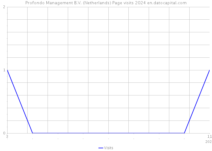 Profondo Management B.V. (Netherlands) Page visits 2024 