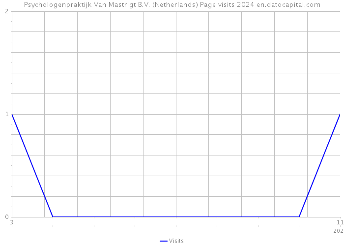 Psychologenpraktijk Van Mastrigt B.V. (Netherlands) Page visits 2024 