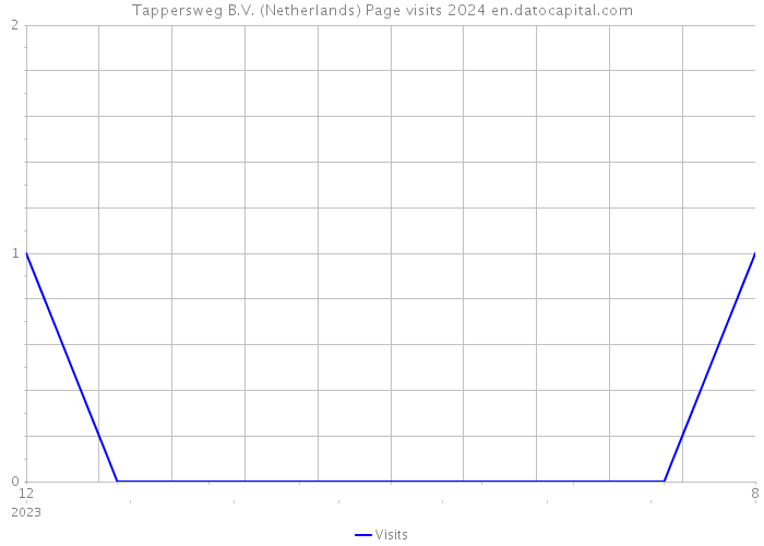 Tappersweg B.V. (Netherlands) Page visits 2024 