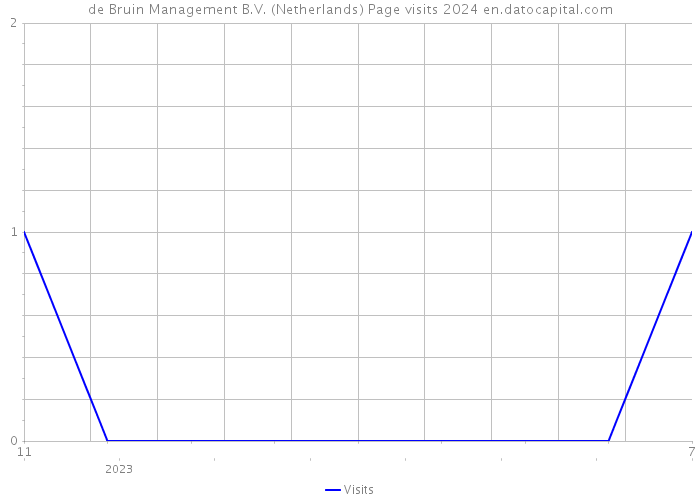 de Bruin Management B.V. (Netherlands) Page visits 2024 