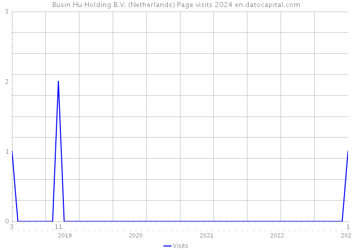 Busin Hu Holding B.V. (Netherlands) Page visits 2024 