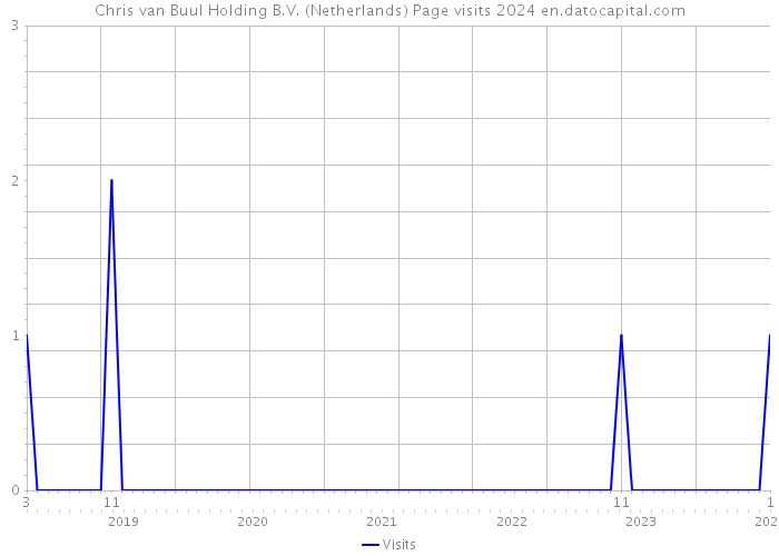 Chris van Buul Holding B.V. (Netherlands) Page visits 2024 