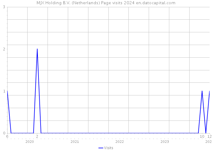 MJX Holding B.V. (Netherlands) Page visits 2024 