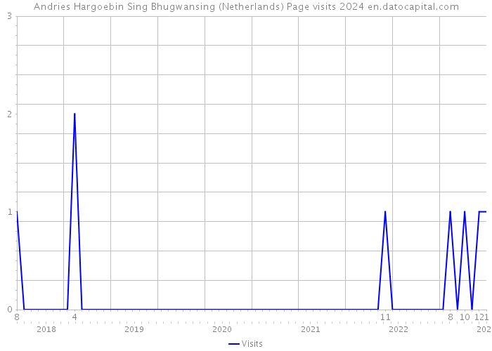 Andries Hargoebin Sing Bhugwansing (Netherlands) Page visits 2024 