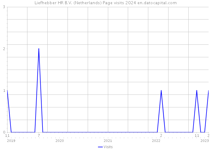 Liefhebber HR B.V. (Netherlands) Page visits 2024 