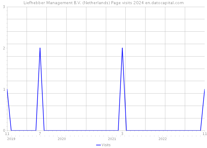 Liefhebber Management B.V. (Netherlands) Page visits 2024 