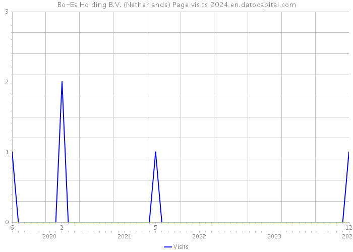 Bo-Es Holding B.V. (Netherlands) Page visits 2024 