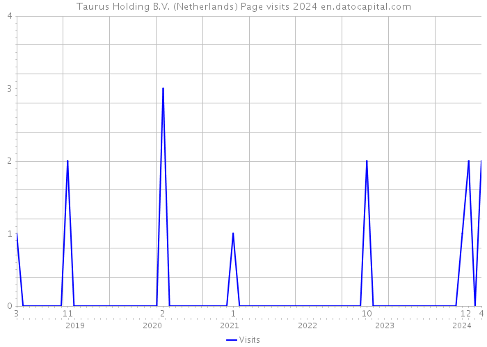 Taurus Holding B.V. (Netherlands) Page visits 2024 