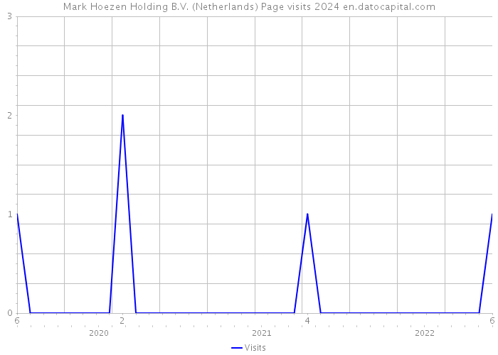 Mark Hoezen Holding B.V. (Netherlands) Page visits 2024 