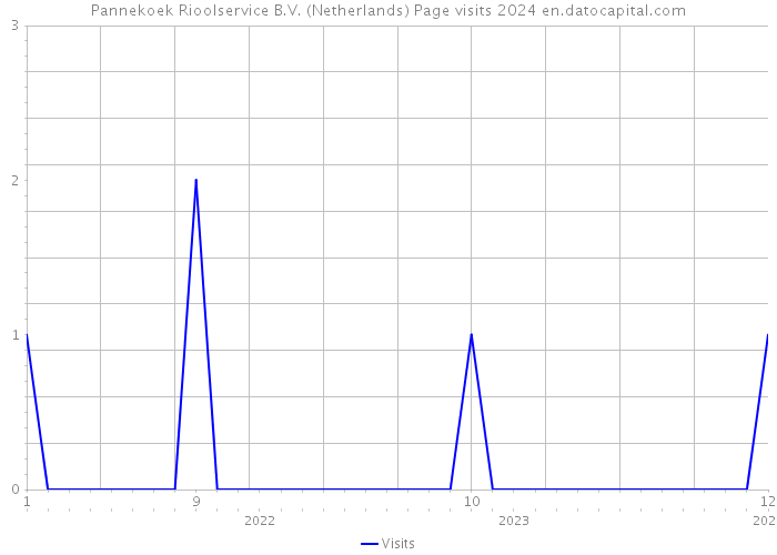 Pannekoek Rioolservice B.V. (Netherlands) Page visits 2024 