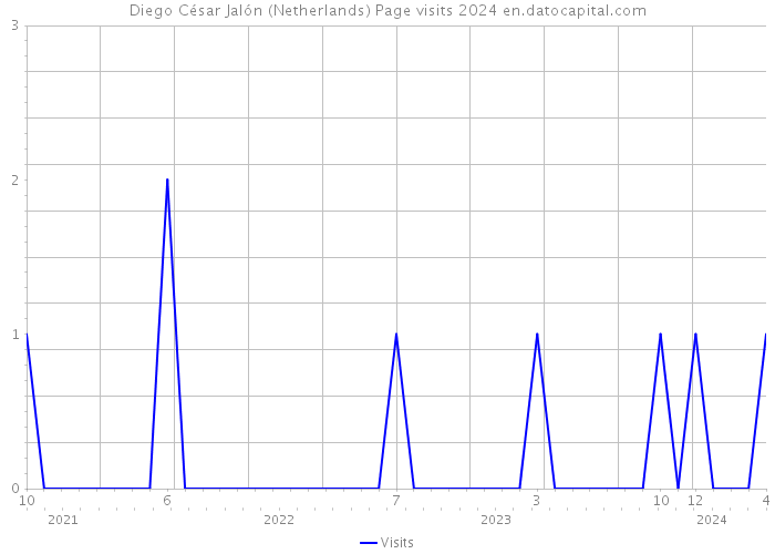 Diego César Jalón (Netherlands) Page visits 2024 