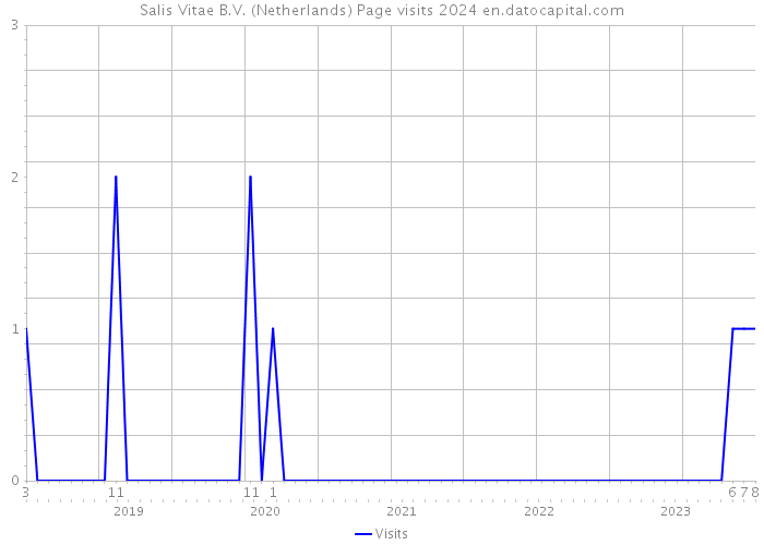 Salis Vitae B.V. (Netherlands) Page visits 2024 