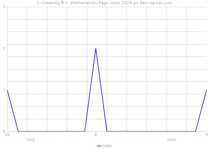 L-Cleaning B.V. (Netherlands) Page visits 2024 