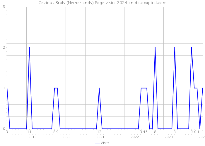 Gezinus Brals (Netherlands) Page visits 2024 