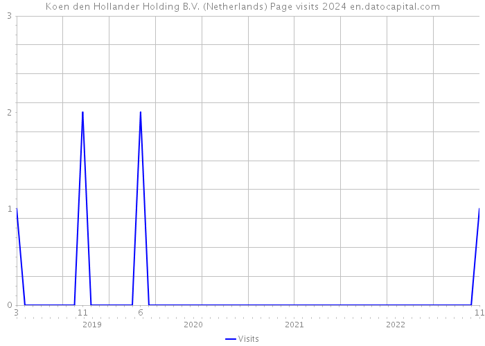 Koen den Hollander Holding B.V. (Netherlands) Page visits 2024 