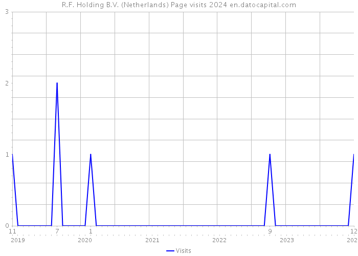 R.F. Holding B.V. (Netherlands) Page visits 2024 