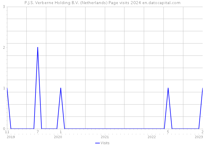 P.J.S. Verberne Holding B.V. (Netherlands) Page visits 2024 