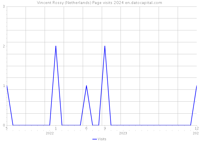 Vincent Rossy (Netherlands) Page visits 2024 