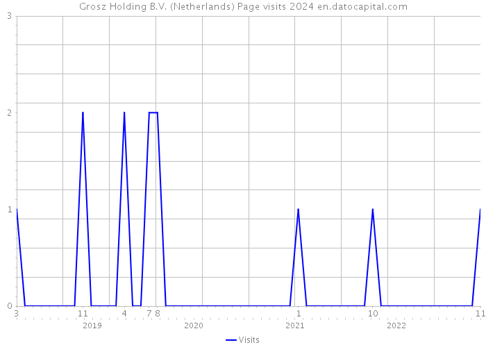 Grosz Holding B.V. (Netherlands) Page visits 2024 