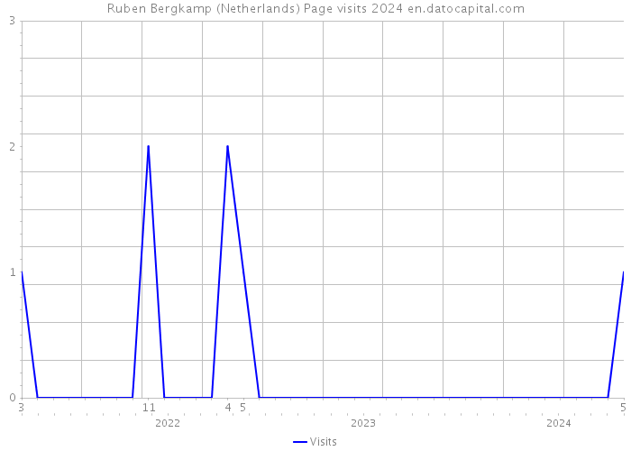 Ruben Bergkamp (Netherlands) Page visits 2024 