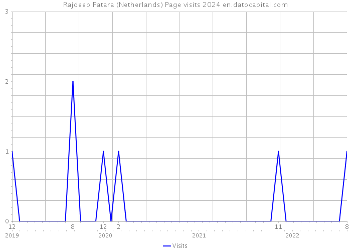 Rajdeep Patara (Netherlands) Page visits 2024 