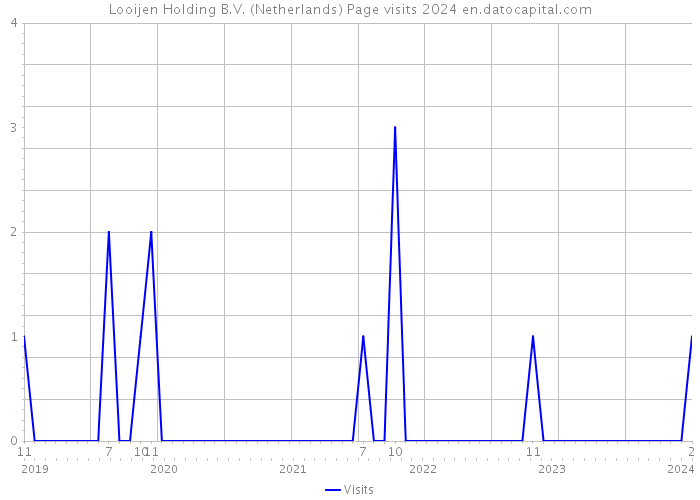 Looijen Holding B.V. (Netherlands) Page visits 2024 