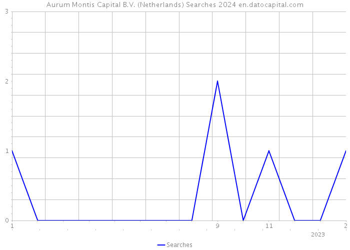Aurum Montis Capital B.V. (Netherlands) Searches 2024 