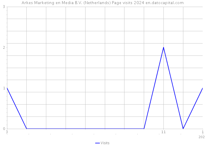 Arkes Marketing en Media B.V. (Netherlands) Page visits 2024 