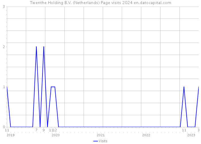 Twenthe Holding B.V. (Netherlands) Page visits 2024 