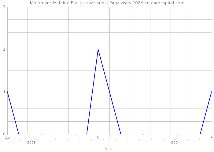 Moermans Holding B.V. (Netherlands) Page visits 2024 