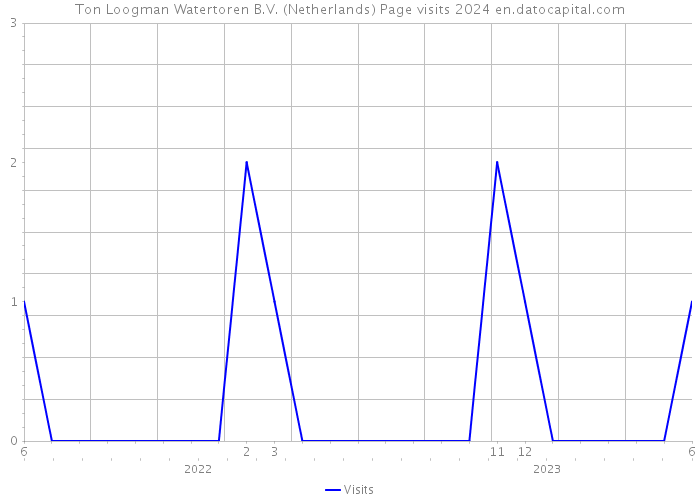 Ton Loogman Watertoren B.V. (Netherlands) Page visits 2024 