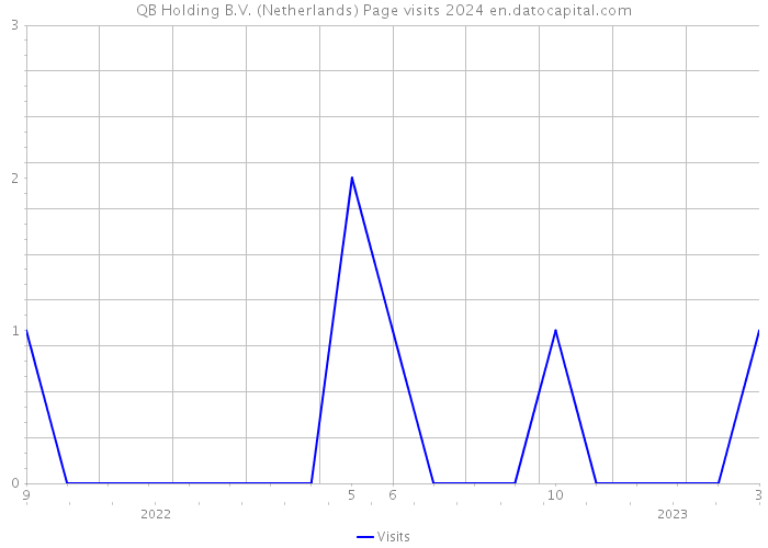 QB Holding B.V. (Netherlands) Page visits 2024 