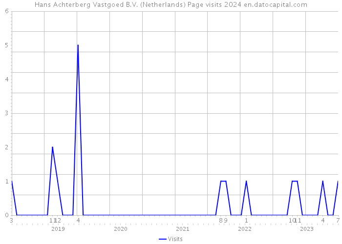 Hans Achterberg Vastgoed B.V. (Netherlands) Page visits 2024 