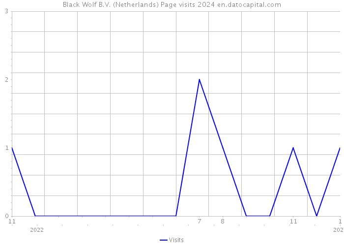Black Wolf B.V. (Netherlands) Page visits 2024 