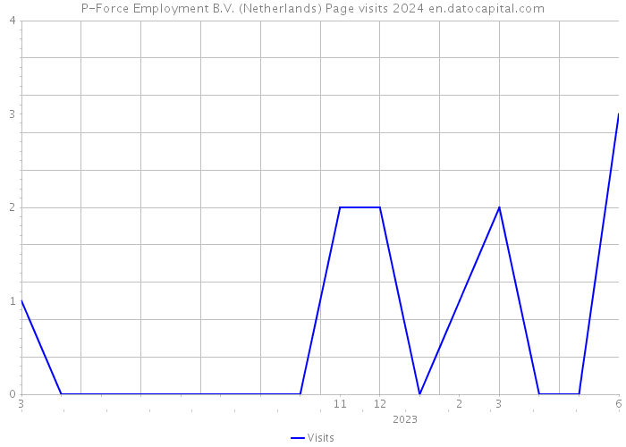 P-Force Employment B.V. (Netherlands) Page visits 2024 