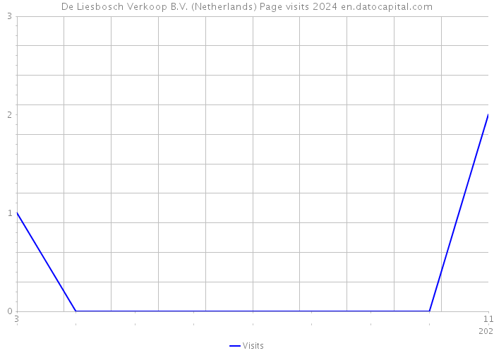 De Liesbosch Verkoop B.V. (Netherlands) Page visits 2024 