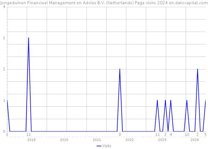 Jongeduinen Financieel Management en Advies B.V. (Netherlands) Page visits 2024 