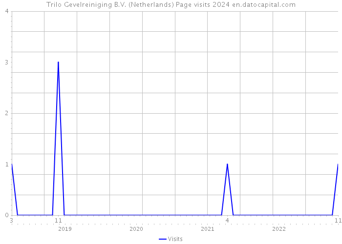 Trilo Gevelreiniging B.V. (Netherlands) Page visits 2024 