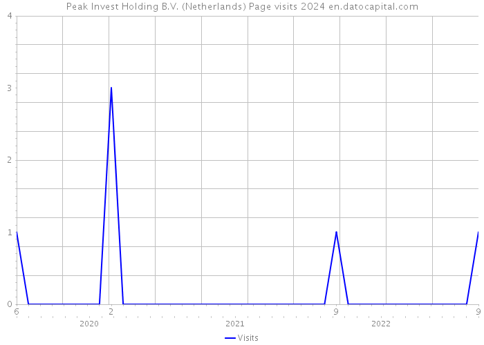 Peak Invest Holding B.V. (Netherlands) Page visits 2024 
