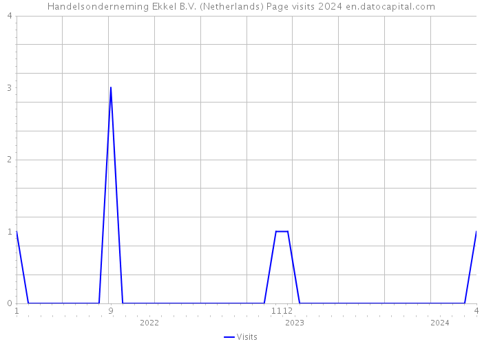 Handelsonderneming Ekkel B.V. (Netherlands) Page visits 2024 